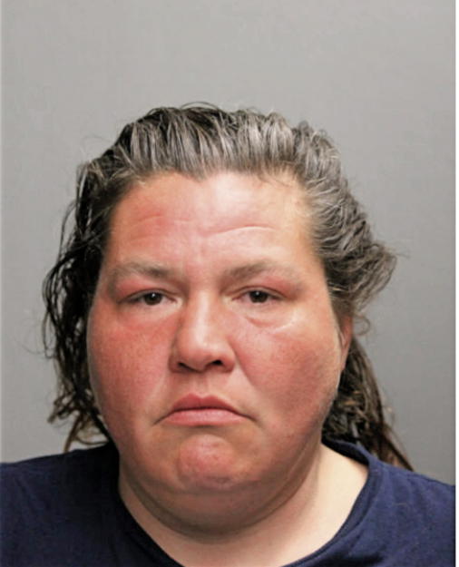 ROBIN L BAUMANN, Cook County, Illinois