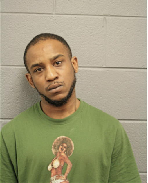 DARIUS N BURNS, Cook County, Illinois