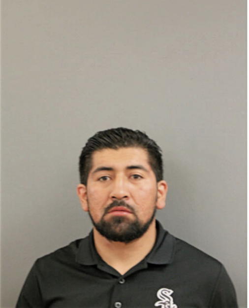 ABEL CHAMBA, Cook County, Illinois