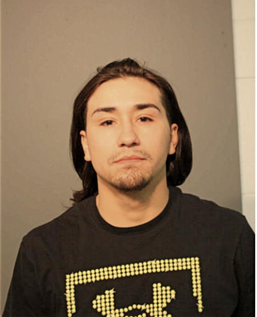 LUIS R COLON, Cook County, Illinois