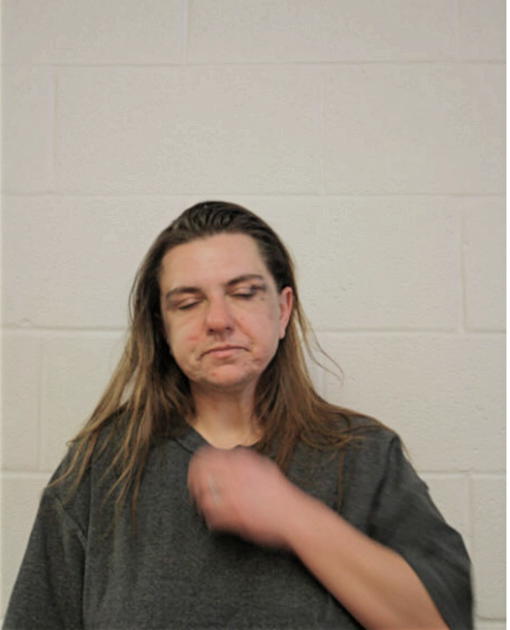 ELIZABETH DOMINGUEZ, Cook County, Illinois