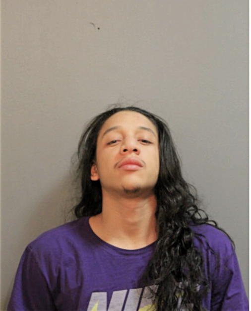 NIKO TERREL FIGURES, Cook County, Illinois