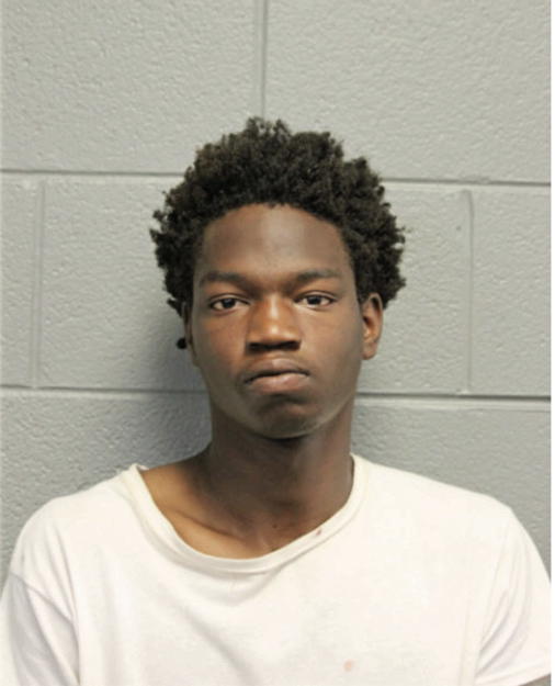 DARNELL J HIGGINS, Cook County, Illinois