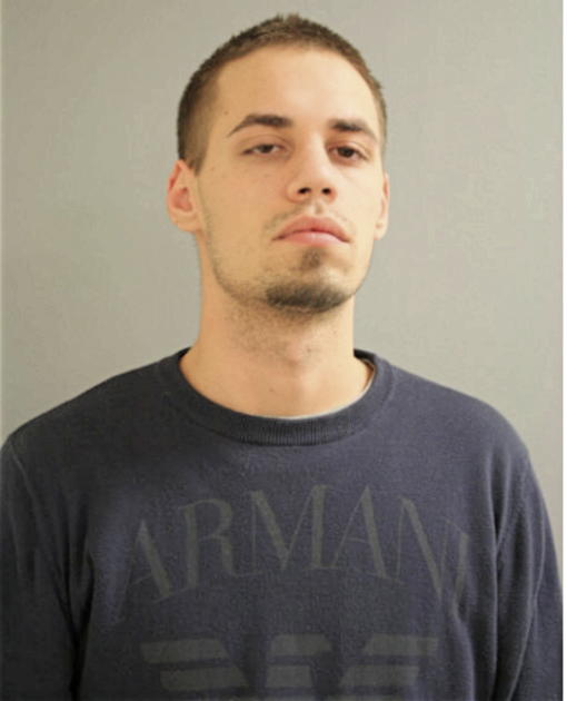 LUKE E HOFFMAN, Cook County, Illinois