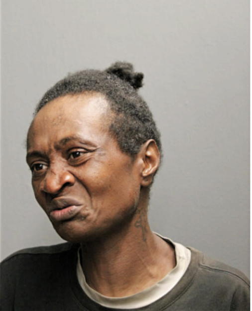 TOWAN JAMES, Cook County, Illinois