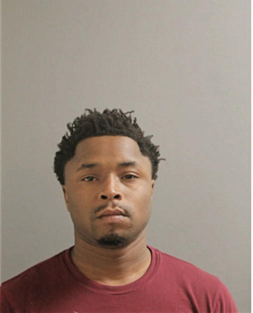 SHAUNA A JENKINS, Cook County, Illinois