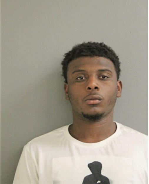 JOHNNIE L JOHNSON, Cook County, Illinois