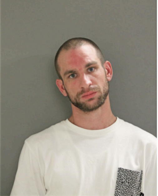 STEVEN C LUTHER, Cook County, Illinois
