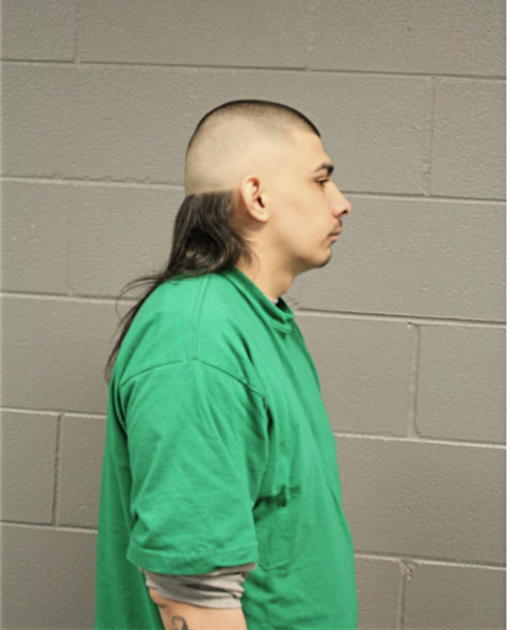 FERNANDO MARTINEZ, Cook County, Illinois