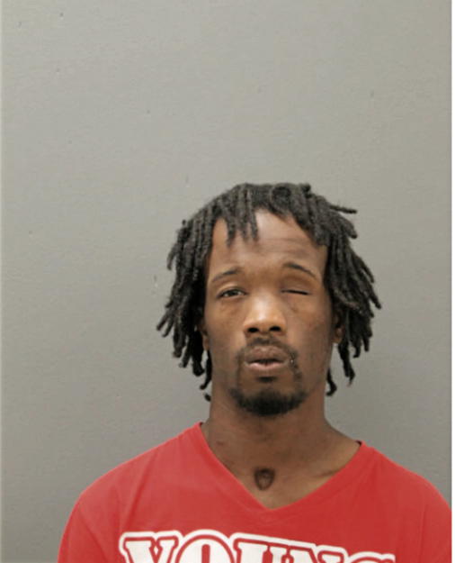 ANSARI M MCKINNEY, Cook County, Illinois