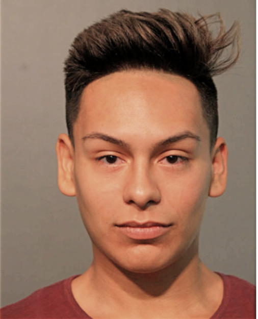 JOSEPH NIZ, Cook County, Illinois