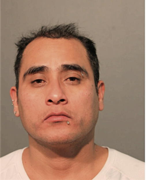 RENE ORTEGALUEGOS, Cook County, Illinois