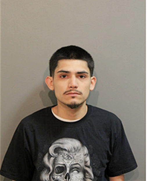 ANGEL M PADILLA, Cook County, Illinois