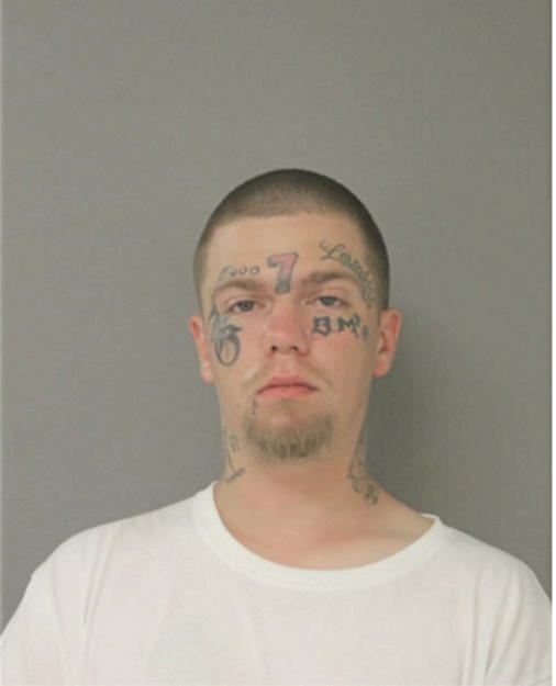 JACOB D REBERGER, Cook County, Illinois