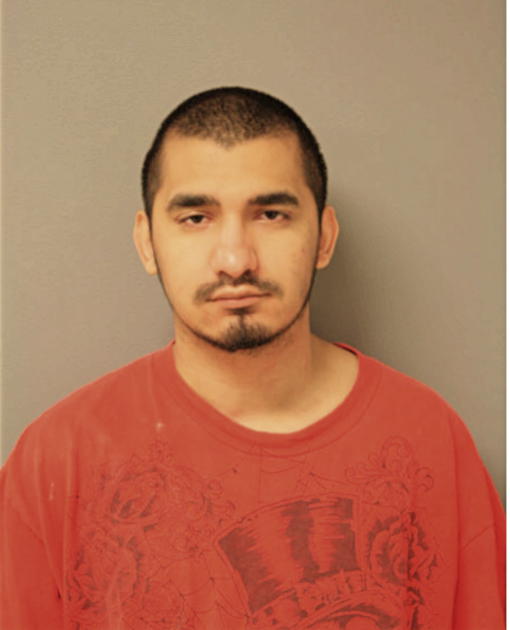 MICHAEL A SANTIAGO, Cook County, Illinois