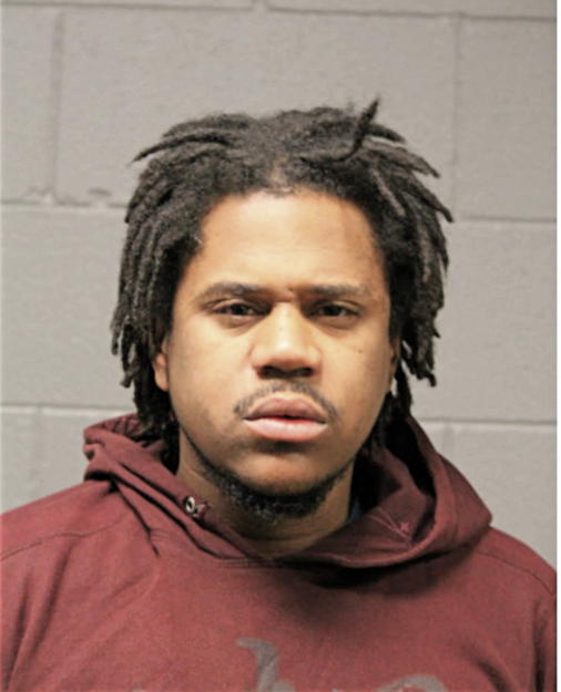 ROBERT P WARNER, Cook County, Illinois