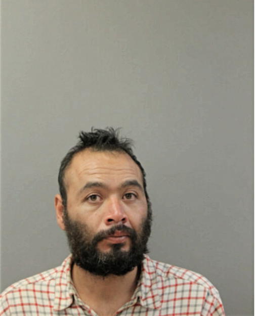 JOSE L ZAMUDIO, Cook County, Illinois