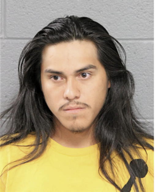 ESTABAN ANDRADE ANDRADE, Cook County, Illinois