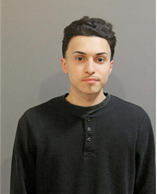 BENJAMIN A BRIZUELA, Cook County, Illinois