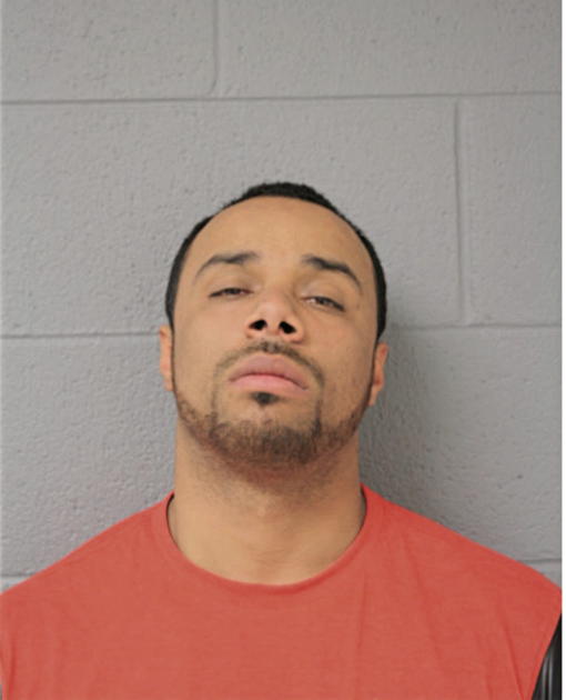 DAVID A CASTILLO, Cook County, Illinois