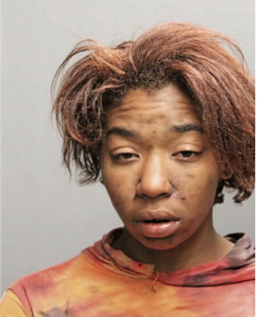 BRITNAY CUEVAS, Cook County, Illinois