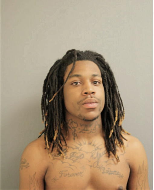 CHRISTOPHER L DANIELS, Cook County, Illinois