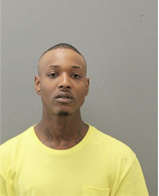 DEVON D ELLZEY, Cook County, Illinois