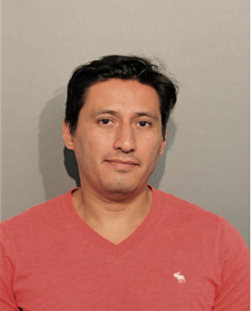 ENRIQUE GONZALEZ, Cook County, Illinois