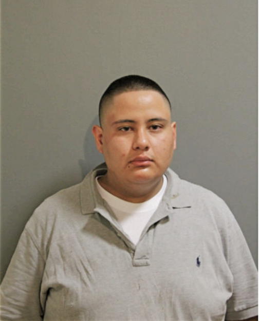 RICARDO HERNANDEZ, Cook County, Illinois