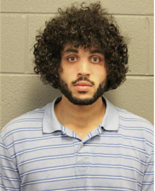 TYLER J HUMMEL, Cook County, Illinois