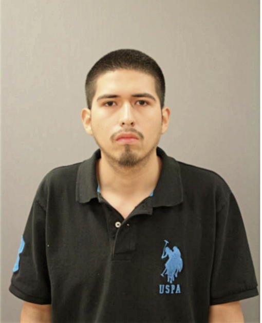 ROMAN LEONARDO, Cook County, Illinois