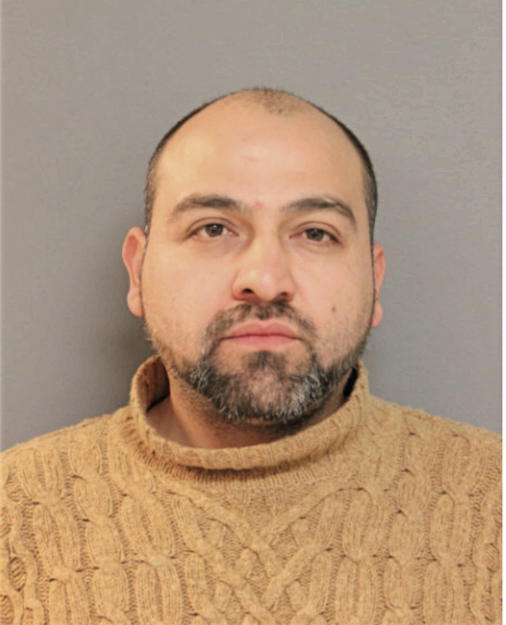 ENRIQUE L MAYA, Cook County, Illinois