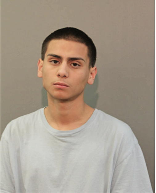 EDGAR ORTEGA, Cook County, Illinois