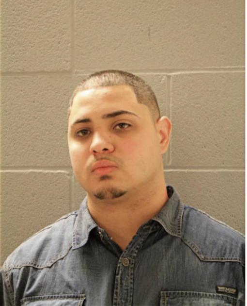 LUIS A ORTIZ, Cook County, Illinois