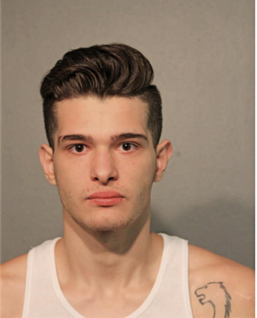 MUHAMED REDZOVIC, Cook County, Illinois