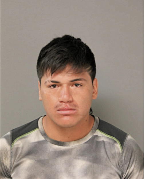 MARCO ROMAN, Cook County, Illinois