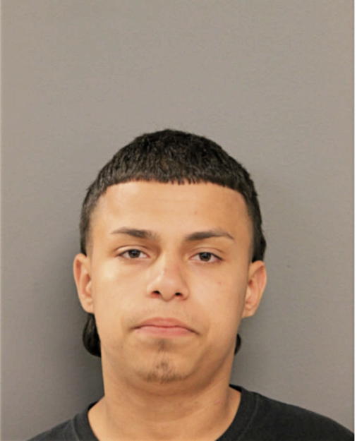 BRANDON L ROSARIO, Cook County, Illinois
