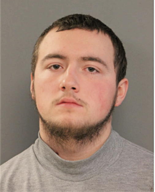 JOSHUA M SWANN, Cook County, Illinois