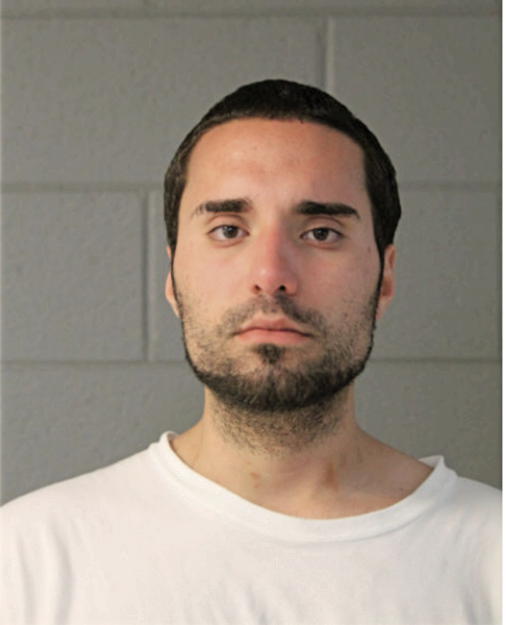 MOHAMAD AL-GHOLEH, Cook County, Illinois