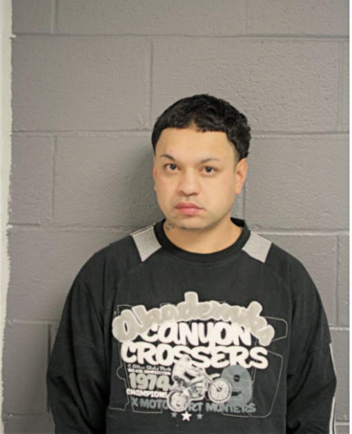 FIDAL CALVILLO, Cook County, Illinois