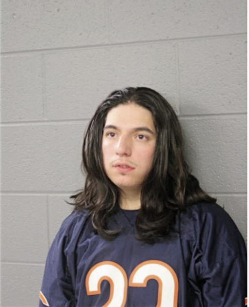 OSCAR CERVANTES, Cook County, Illinois
