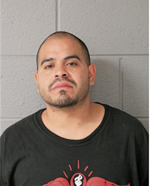 JESUS F MENDOZA, Cook County, Illinois
