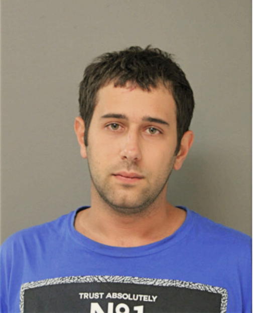 BRADLEY E FINK, Cook County, Illinois