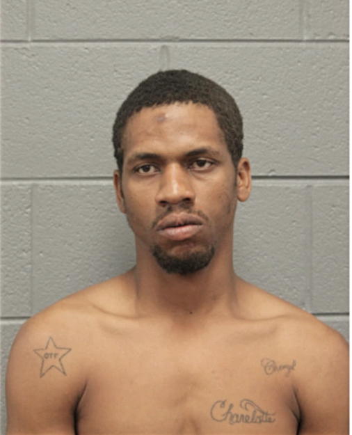 BRANDON J HOLDER, Cook County, Illinois