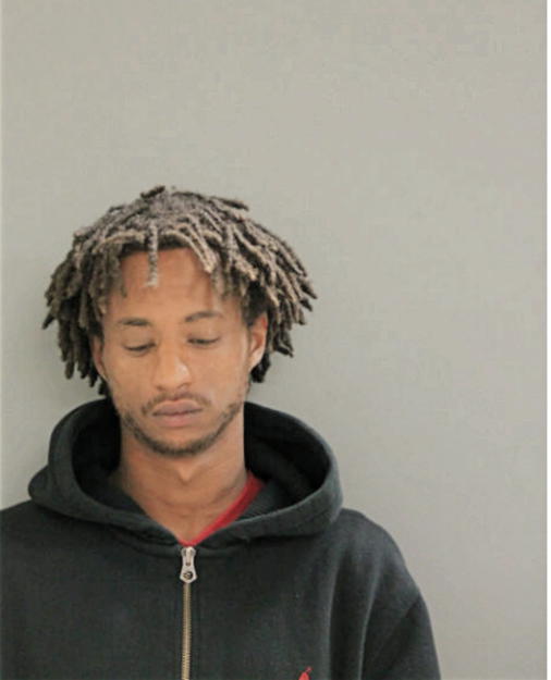 TERRELL J HORTON, Cook County, Illinois