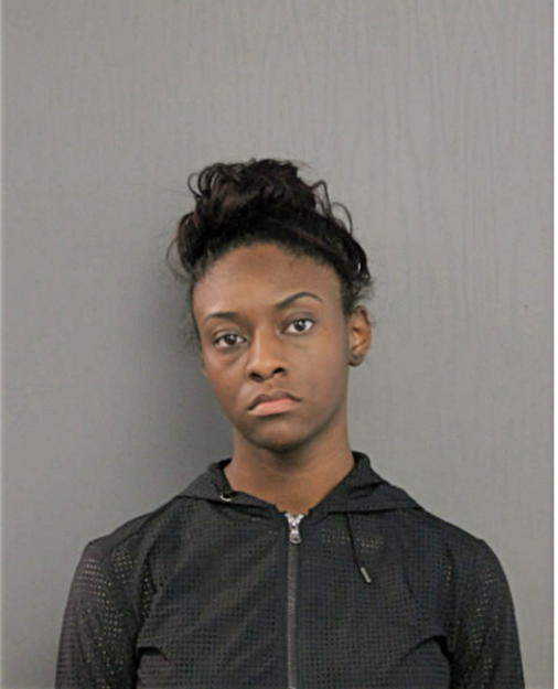 TONNISE L HUDSON, Cook County, Illinois