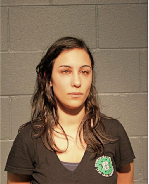 LYNDSAY A MACK, Cook County, Illinois