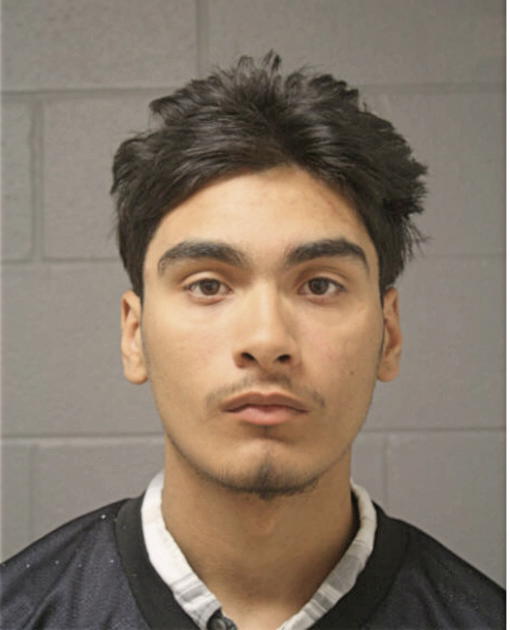 LUIS J MARTINEZ, Cook County, Illinois