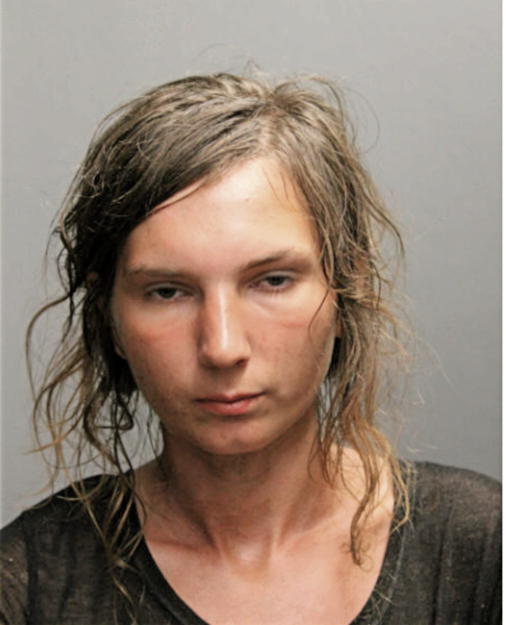 HAJRIJA MEMIC, Cook County, Illinois