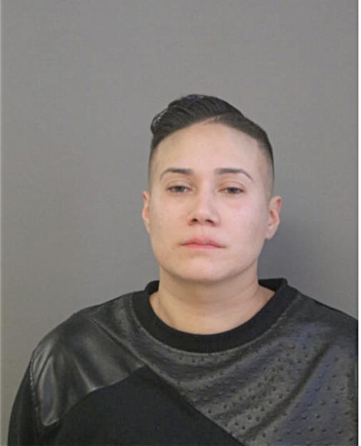 KAREN JANETH NIEVES, Cook County, Illinois